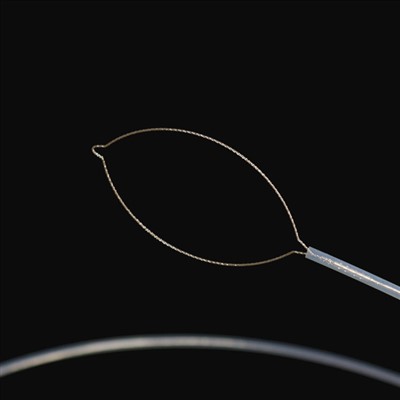 جیو ډول د بهرني بدن پواسطه