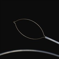 خالص ډول د بهرني بدن پواسطه